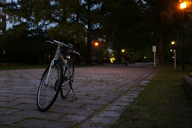 夜 自転車